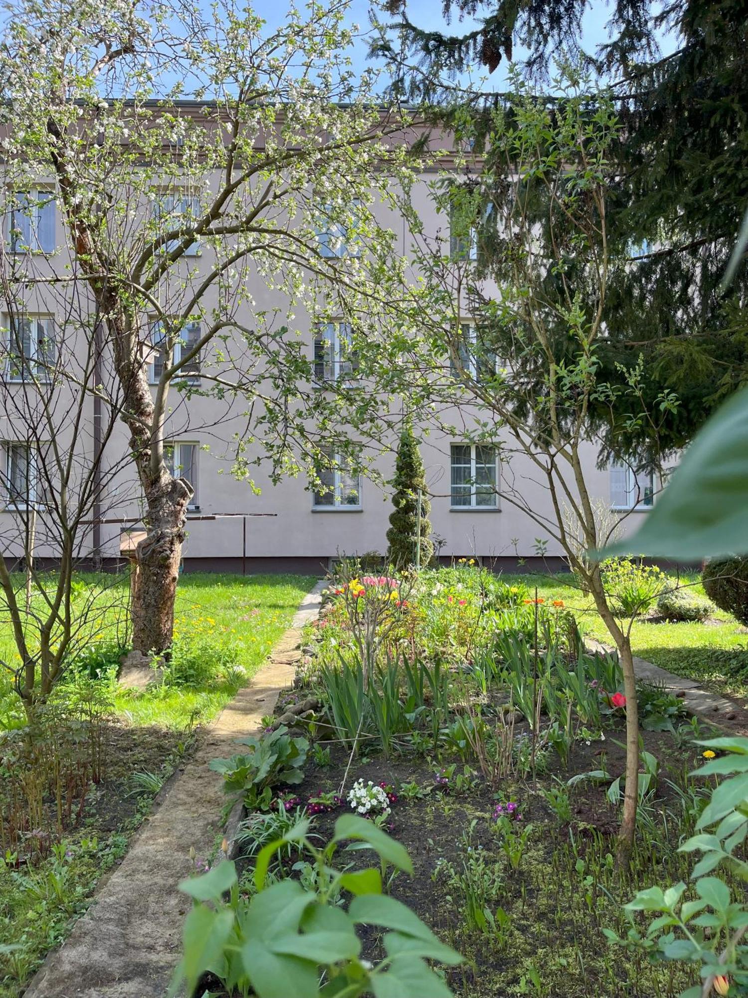 Greenthumb Praska Krakow Luaran gambar