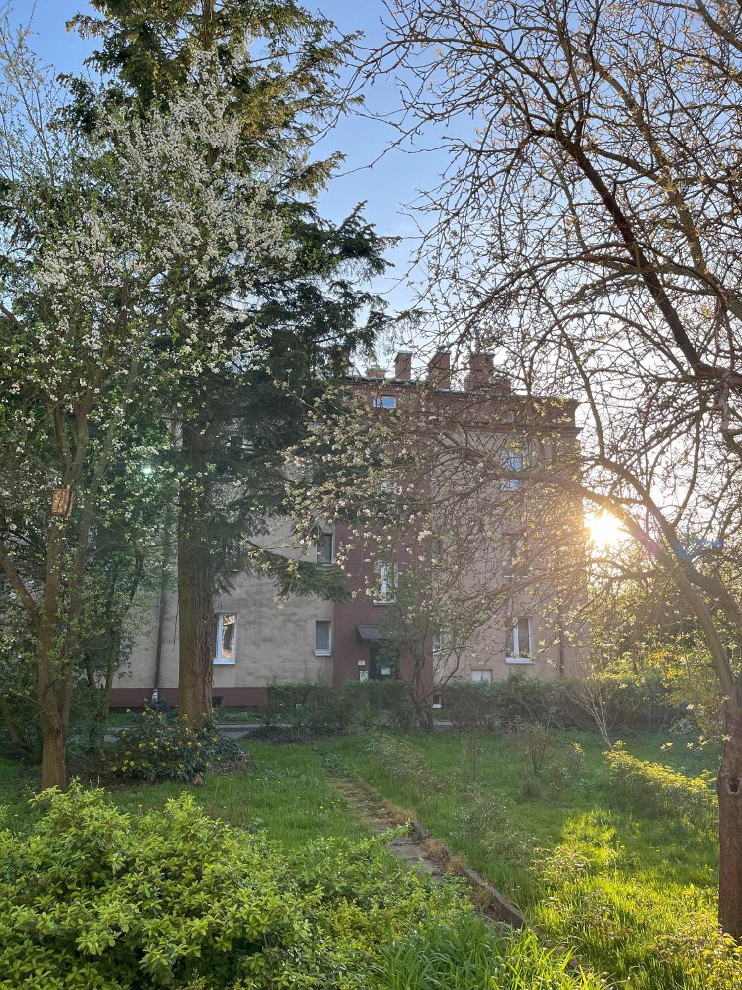 Greenthumb Praska Krakow Luaran gambar