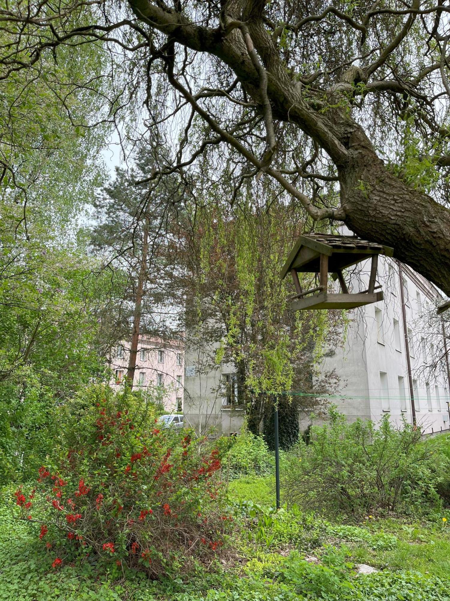 Greenthumb Praska Krakow Luaran gambar
