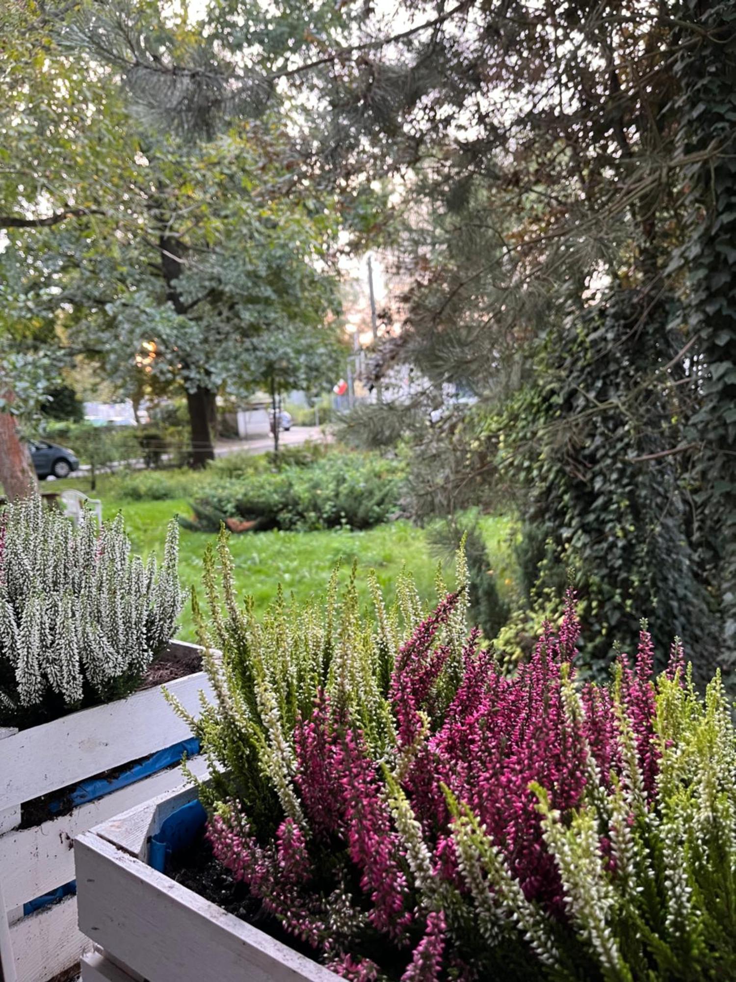 Greenthumb Praska Krakow Luaran gambar