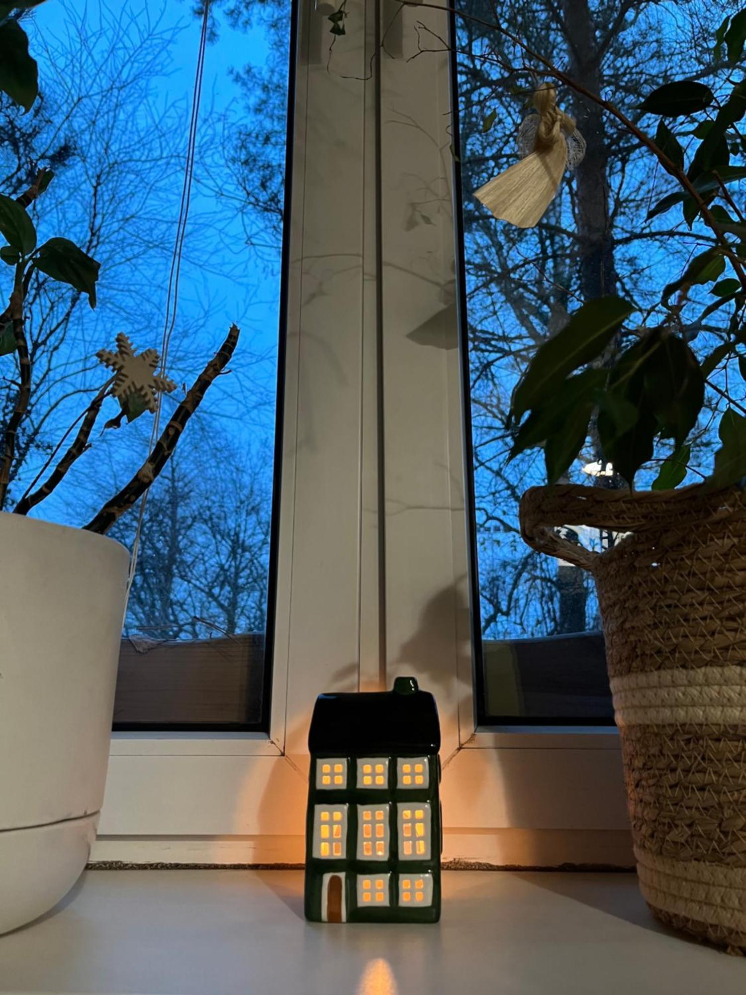 Greenthumb Praska Krakow Luaran gambar